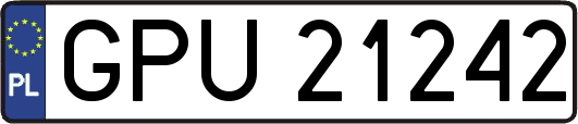 GPU21242