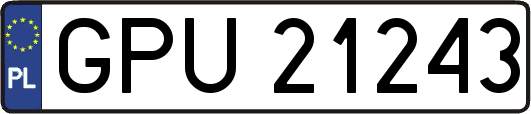 GPU21243