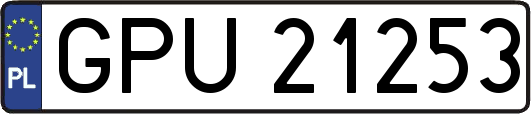 GPU21253