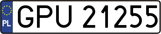 GPU21255