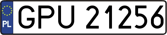 GPU21256
