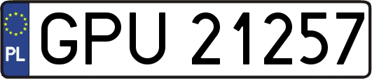 GPU21257