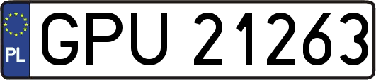 GPU21263