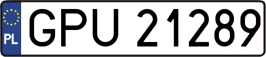 GPU21289