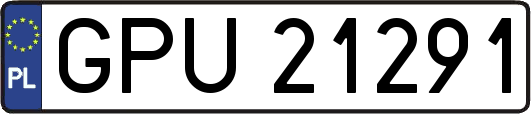GPU21291