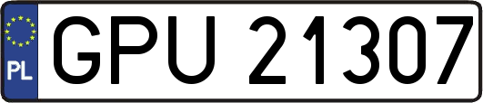 GPU21307