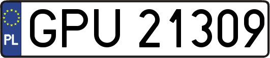 GPU21309