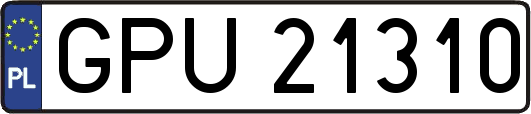 GPU21310