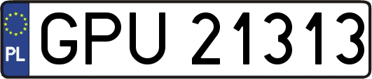 GPU21313