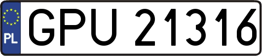 GPU21316