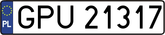 GPU21317
