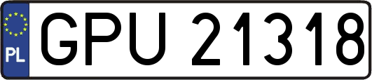 GPU21318