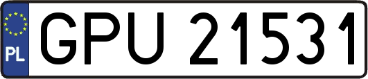 GPU21531
