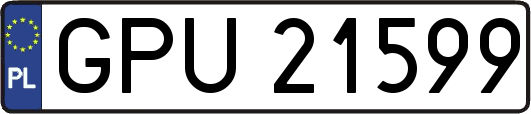 GPU21599