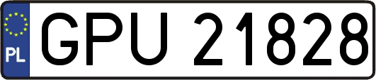 GPU21828