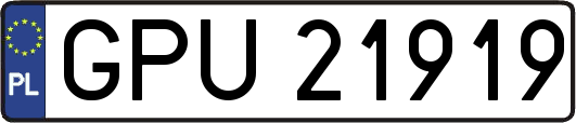 GPU21919