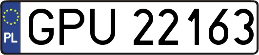 GPU22163