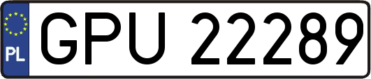 GPU22289