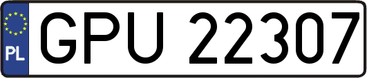 GPU22307