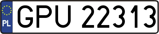 GPU22313