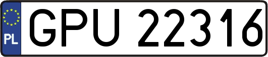 GPU22316