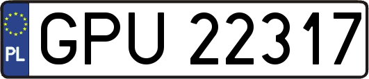 GPU22317