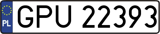 GPU22393