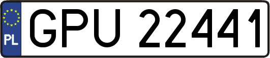 GPU22441