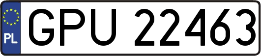GPU22463
