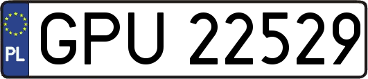 GPU22529