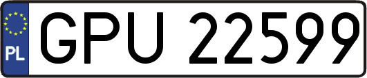GPU22599