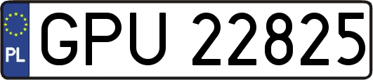 GPU22825