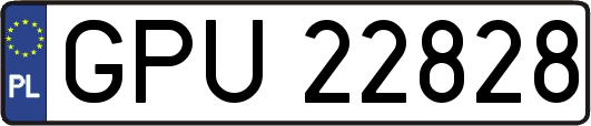 GPU22828