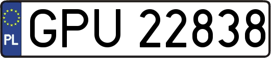 GPU22838