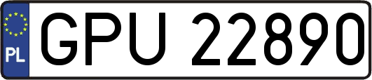 GPU22890