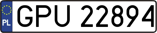 GPU22894