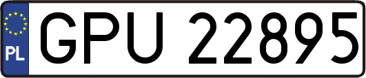 GPU22895