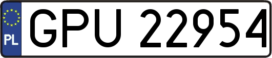 GPU22954