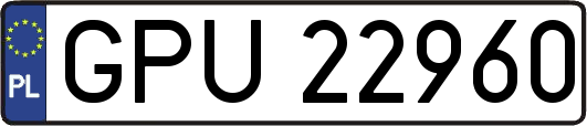 GPU22960