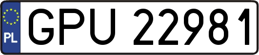GPU22981