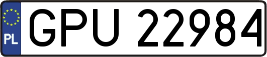 GPU22984