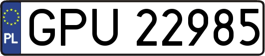 GPU22985
