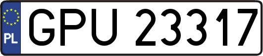 GPU23317