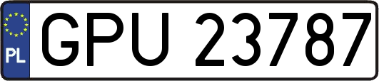 GPU23787