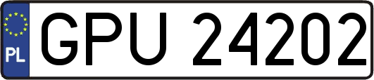 GPU24202