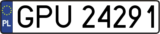GPU24291