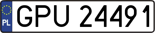 GPU24491