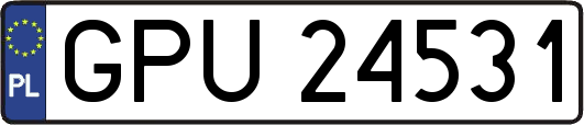 GPU24531