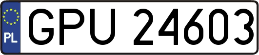 GPU24603