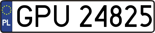 GPU24825